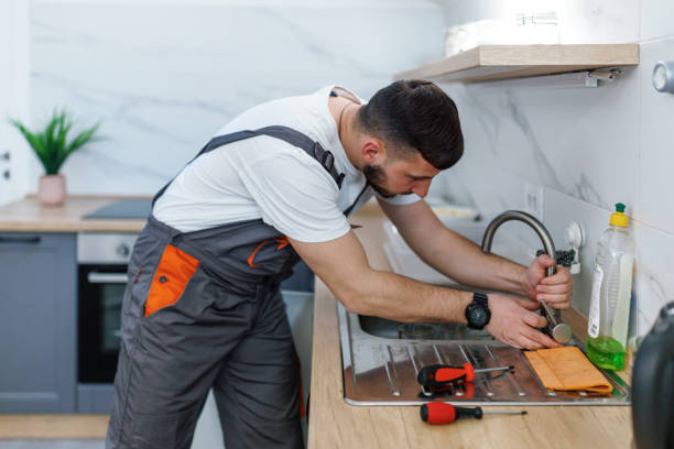 Best Toilet Repair Services  in Ligonier, IN
