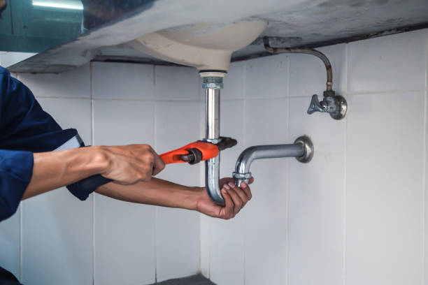 Best Sewer Cleaning Services  in Ligonier, IN