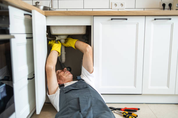 Best Affordable Plumbing Services  in Ligonier, IN