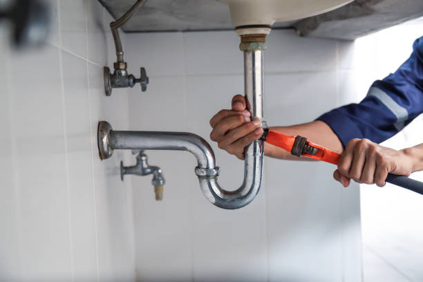 Best Residential Plumbing Services  in Ligonier, IN