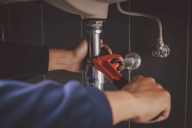 Best Local Plumber Services  in Ligonier, IN