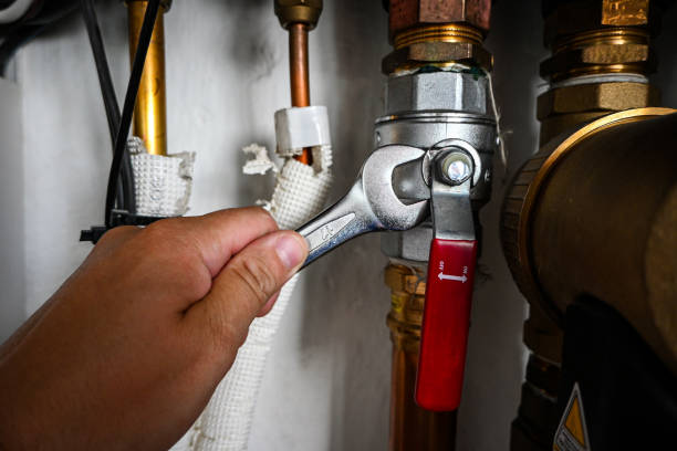 Best Plumbing Repair Near Me  in Ligonier, IN